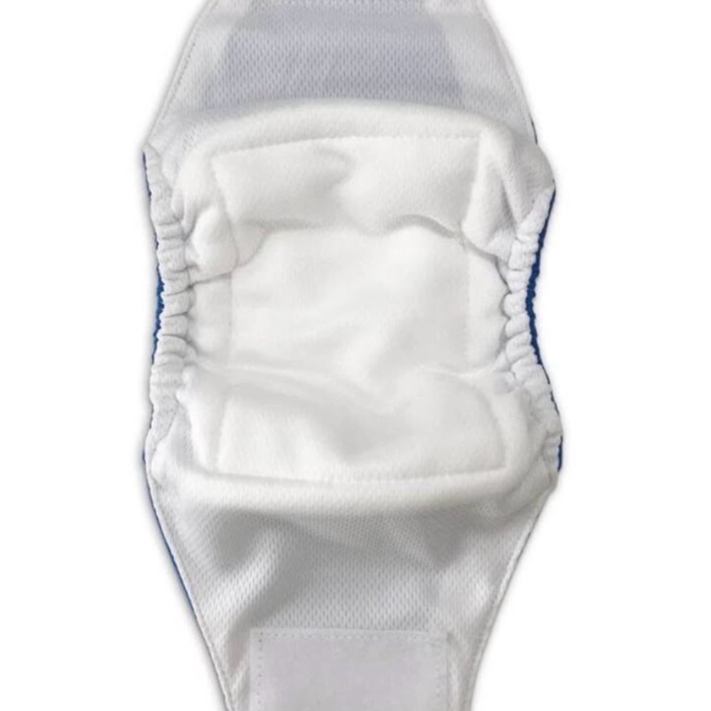 Male dog diaper in orange